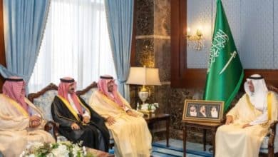 2483328.jpgw800q100fjpg