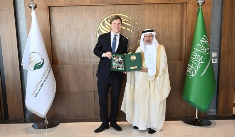 2483452.jpgw800q100fjpg