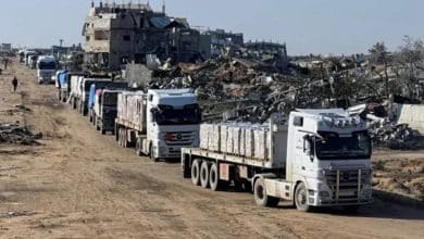 2483704.jpgw800q100fjpg