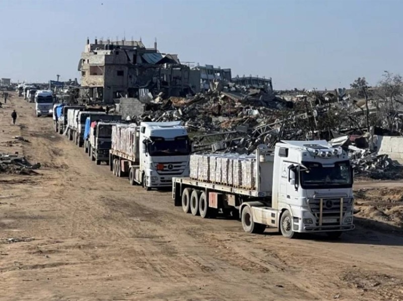 2483704.jpgw800q100fjpg