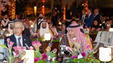 2484307.jpgw800q100fjpg