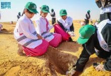 2484420.pngw800q100fjpg