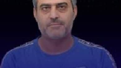 2485122.jpgw800q100fjpg