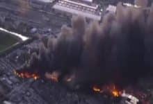 2485408.jpgw800q100fjpg