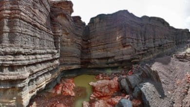 ما هي التضاريس السعودية التي انضمت إلى شبكة الجيوبارك العالمية؟ 7 2487032.jpgw800q100fjpg