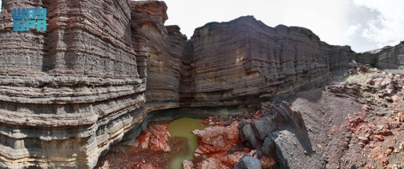 2487032.jpgw800q100fjpg