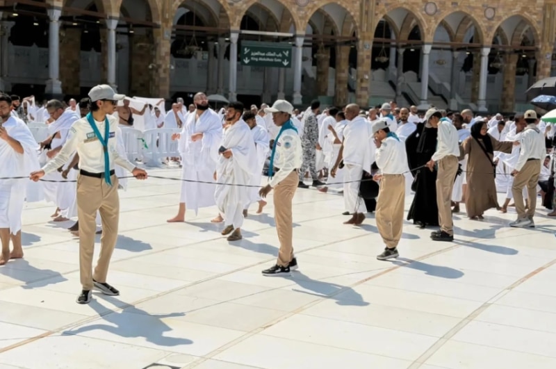 2487076.pngw800q100fjpg