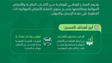 "وقاء" يقوم بتنفيذ المسح الوبائي للأمراض الحيوانية ويجري فحص 90 ألف عينة 4 2488154.jpegw800q100fjpg