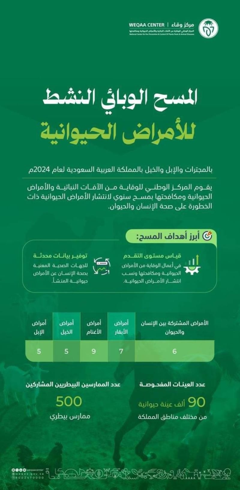 "وقاء" يقوم بتنفيذ المسح الوبائي للأمراض الحيوانية ويجري فحص 90 ألف عينة 1 2488154.jpegw800q100fjpg