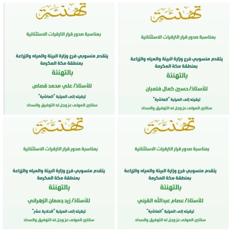 2489243.jpgw800q100fjpg