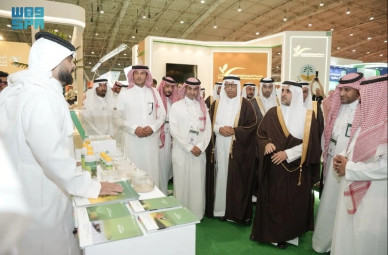 2489827.pngw800q100fjpg