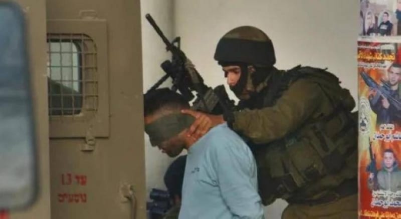 2501979.jpgw800q100fjpg