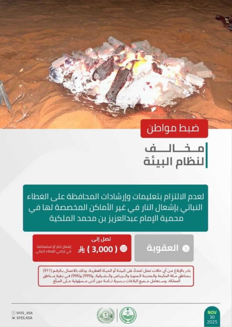 2502427.jpgw800q100fjpg