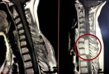 2502841.jpegw800q100fjpg