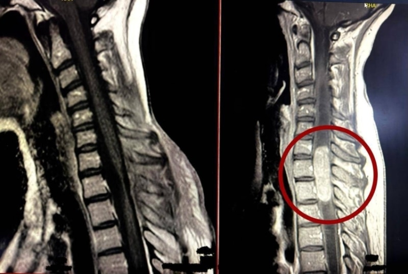 2502841.jpegw800q100fjpg