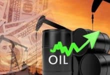 2503099.jpgw800q100fjpg