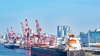 2503106.jpgw800q100fjpg