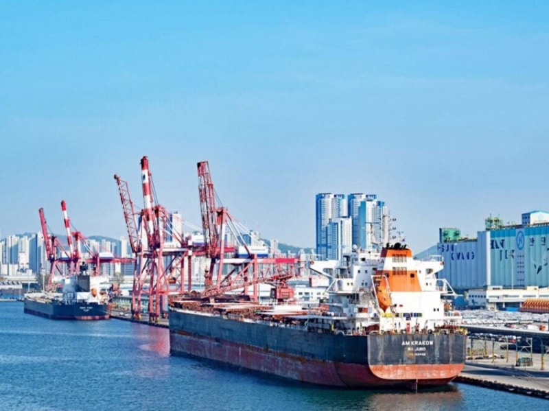 2503106.jpgw800q100fjpg