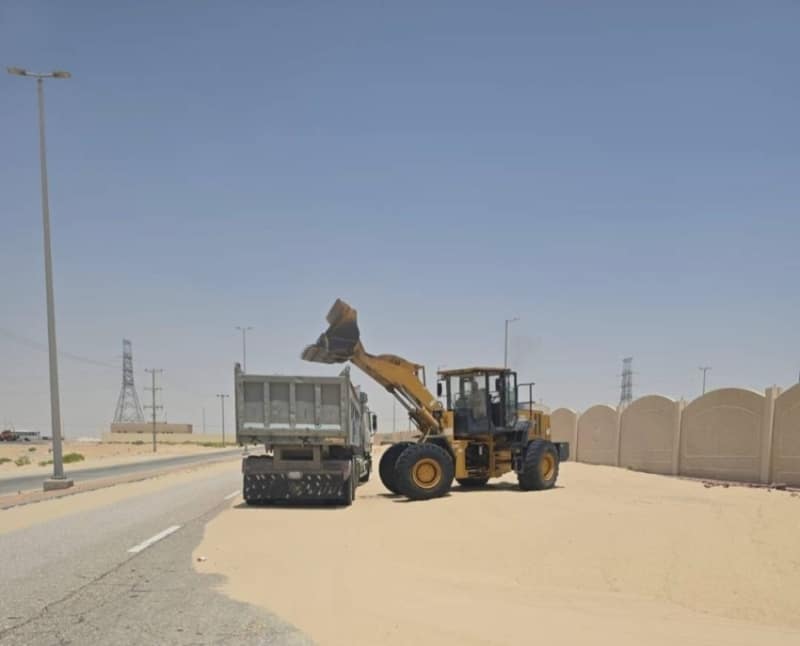 2503159.jpgw800q100fjpg