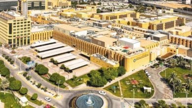 2503228.jpgw800q100fjpg