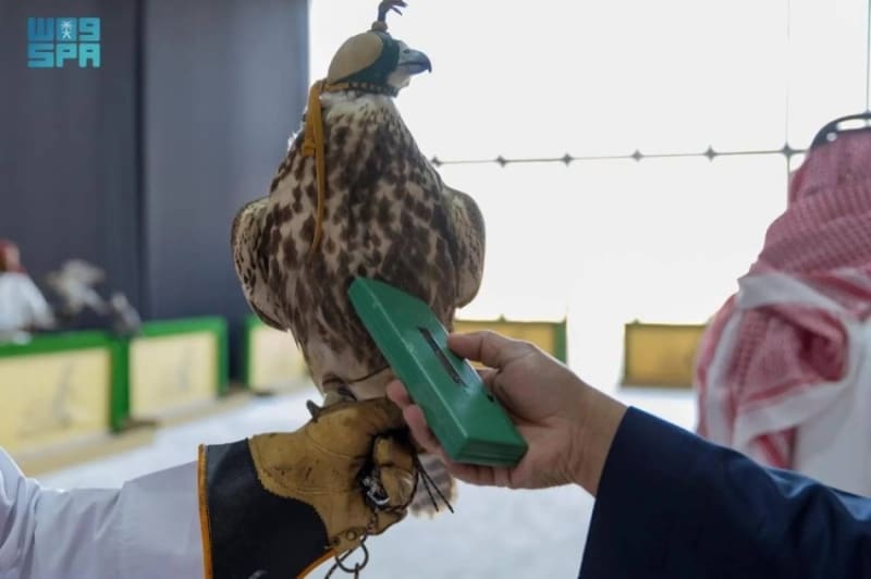 2503417.jpgw800q100fjpg